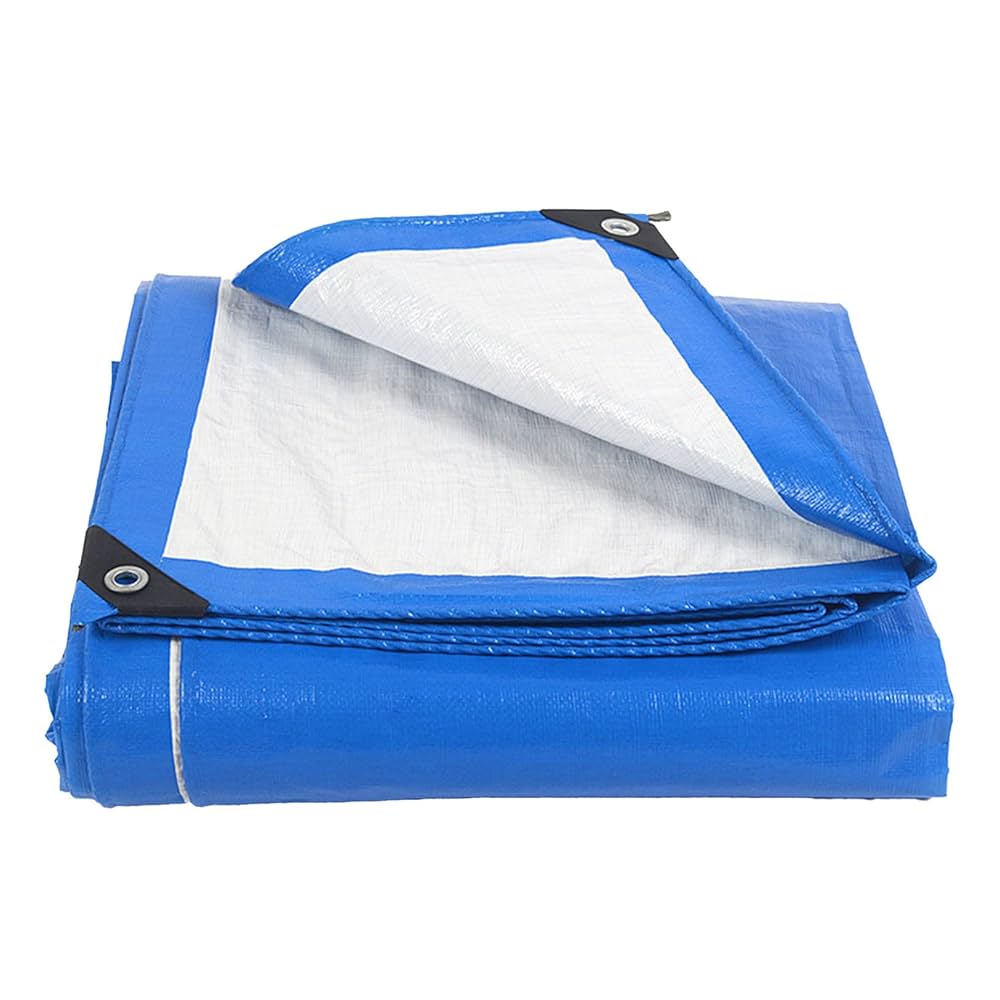 61tgb5PHxXL._UF1000,1000_QL80_